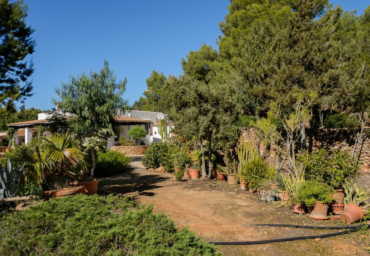 Landhaus in San Carlos/ Sant Carles de Peralta - Can Patri, Finca 5StarsHome Ibiza