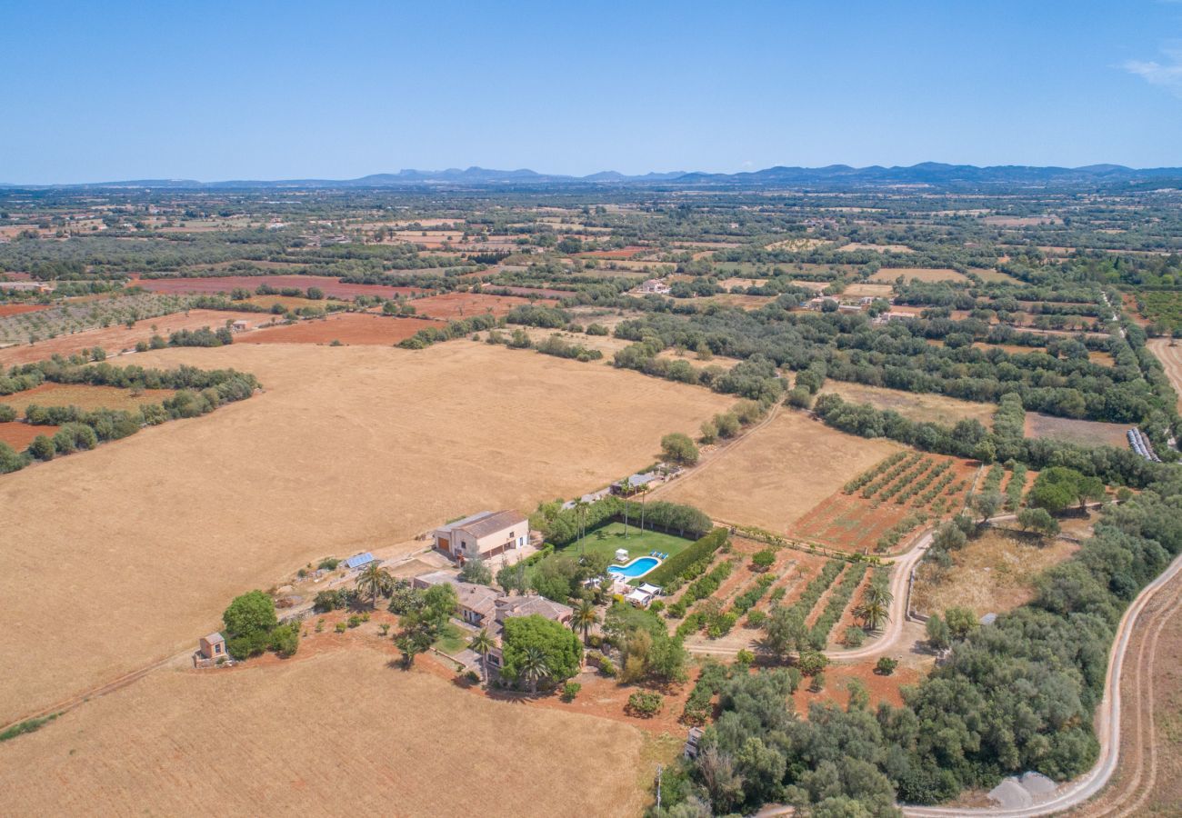 Landhaus in Felanitx - Can Rito, Finca 5StarsHome Mallorca