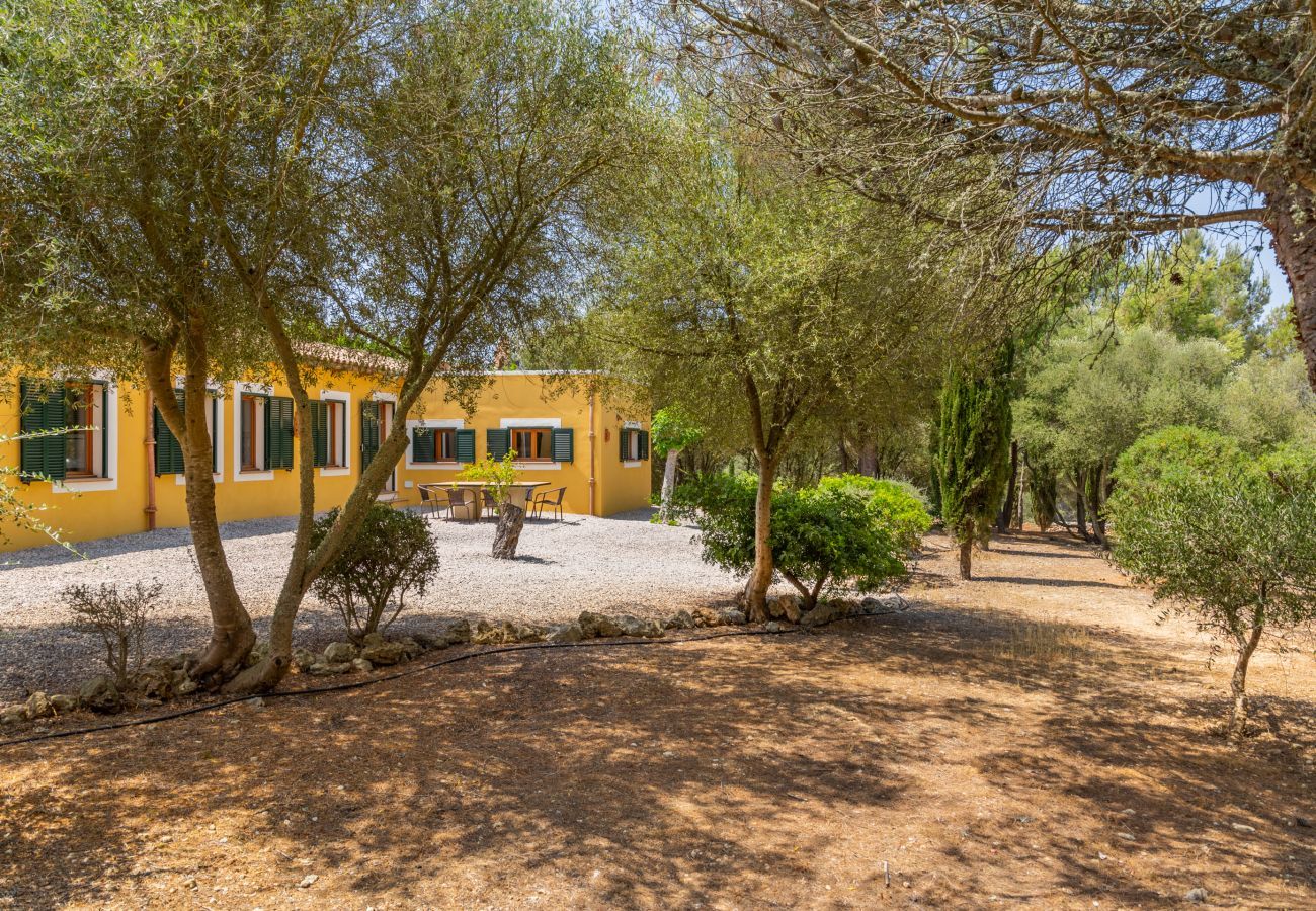 Landhaus in Manacor - Ses Cases Son Blat, Finca 5StarsHome Mallorca