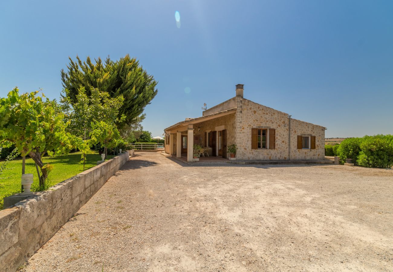 Landhaus in Santa Margalida - Sa Cova Dor, Finca 5StarsHome Mallorca