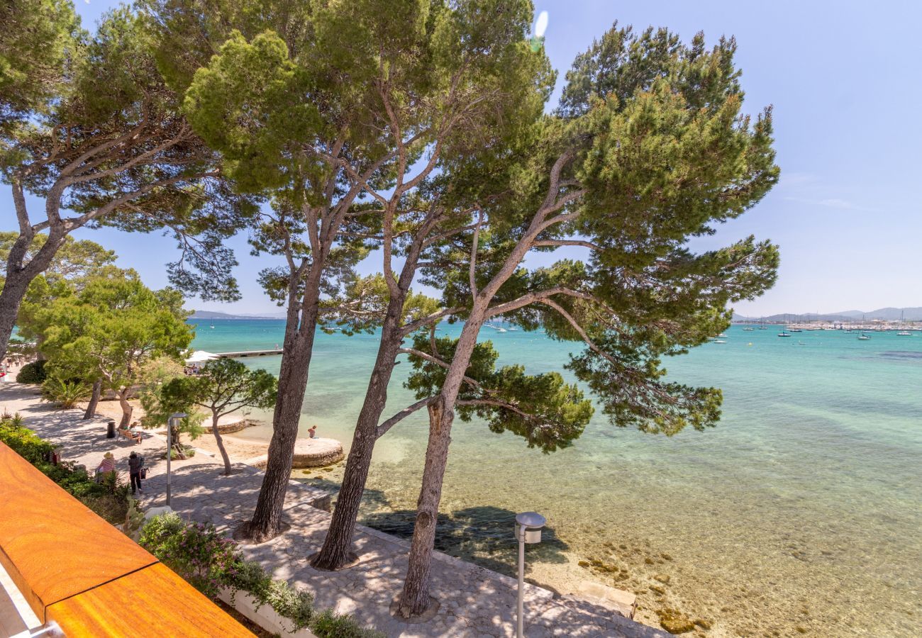 Ferienwohnung in Puerto Pollensa - Bellveure 2, Apartamento 5StarsHome Mallorca