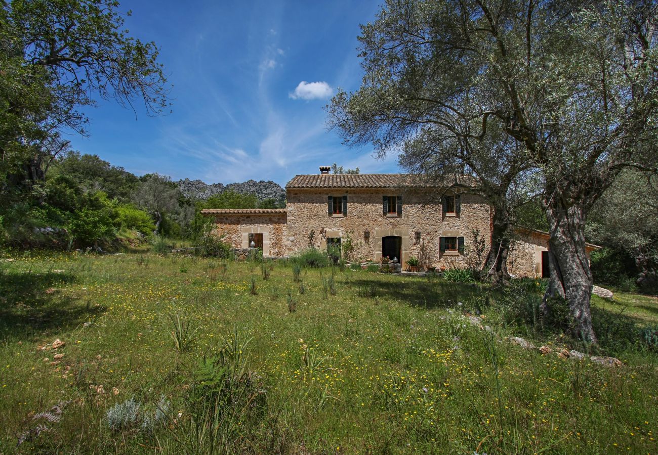 Landhaus in Pollensa / Pollença - Mon Mallorqui, Finca 5StarsHome Mallorca