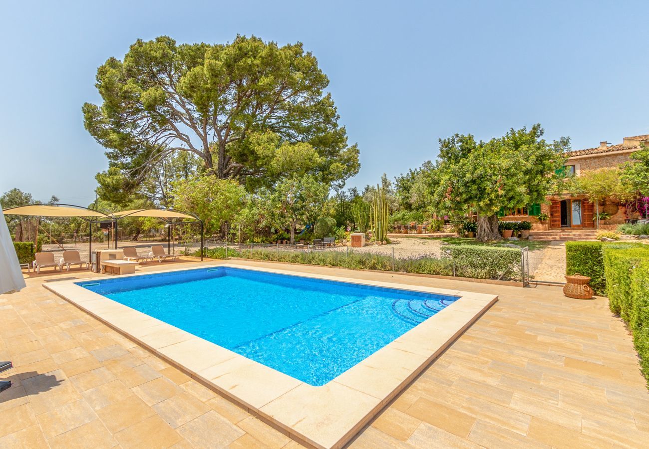 Landhaus in Binissalem - Alaroters, Villa-Finca 5StarsHome Mallorca