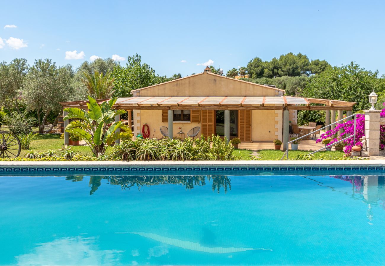 Villa in Muro - Can Bea, Villa 5StarsHome Mallorca